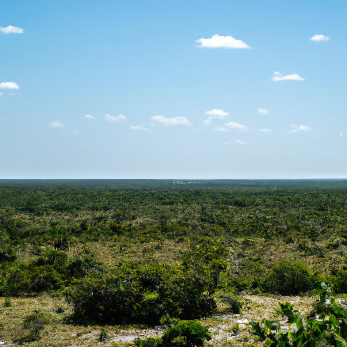 Recursos naturales de Belice 15 1