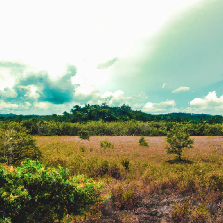 Recursos naturales de Brunei Darussalam 25 Recursos naturales de Brunei Darussalam