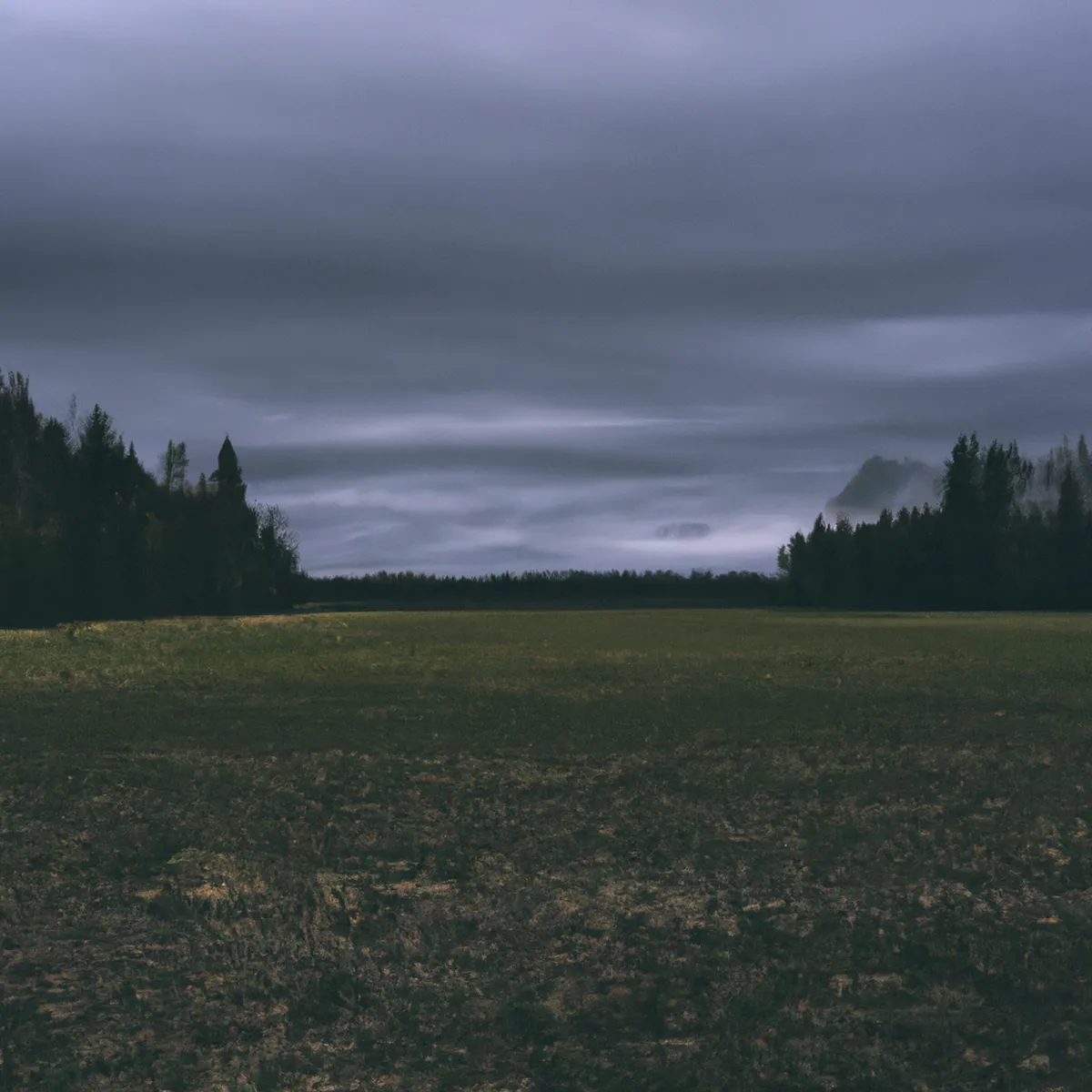 Recursos naturales de Estonia 50 1