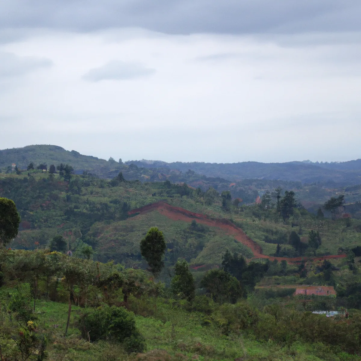 Recursos naturales de Ruanda 126 1