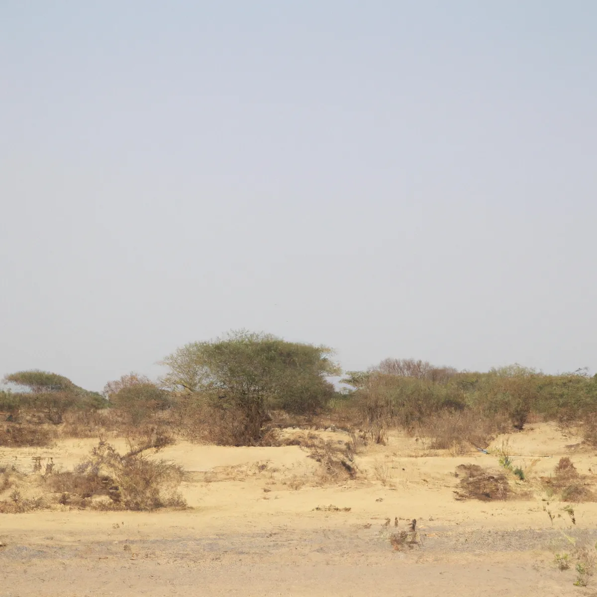 Recursos naturales de Senegal 129 1