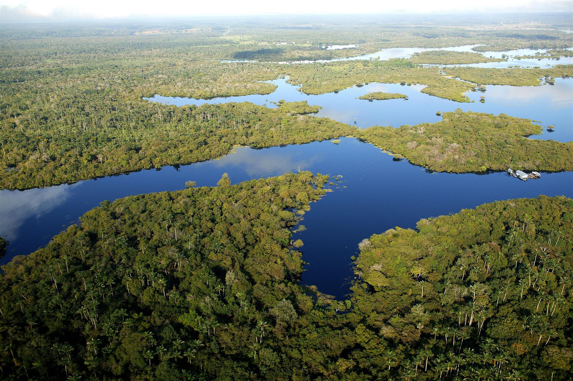 Recursos naturales de Brasil - Desarrollo Sustentable