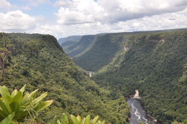 Recursos naturales de Guyana 3 guyana 1