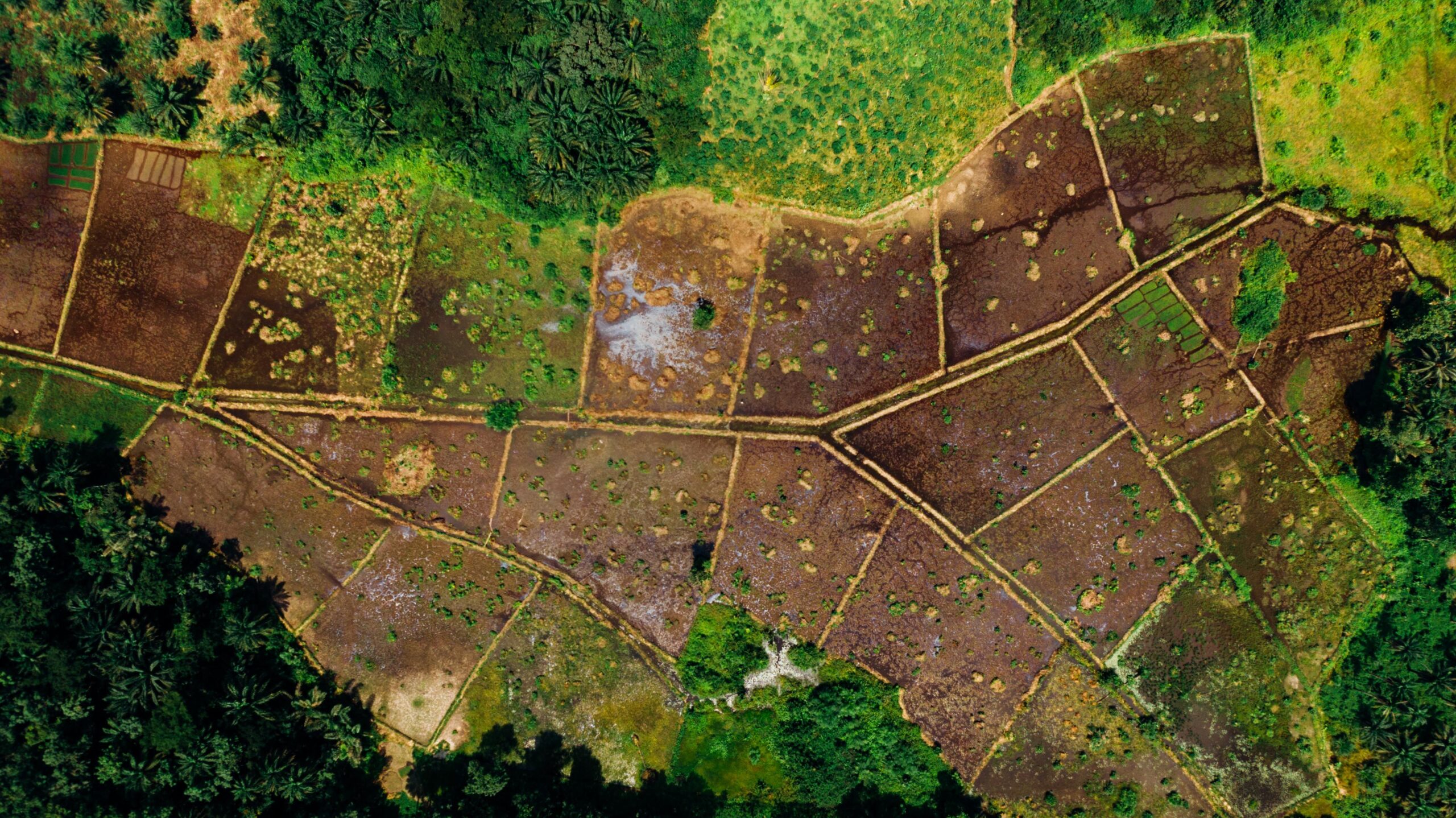 Parcelas agrícolas diversas vistas desde el aire