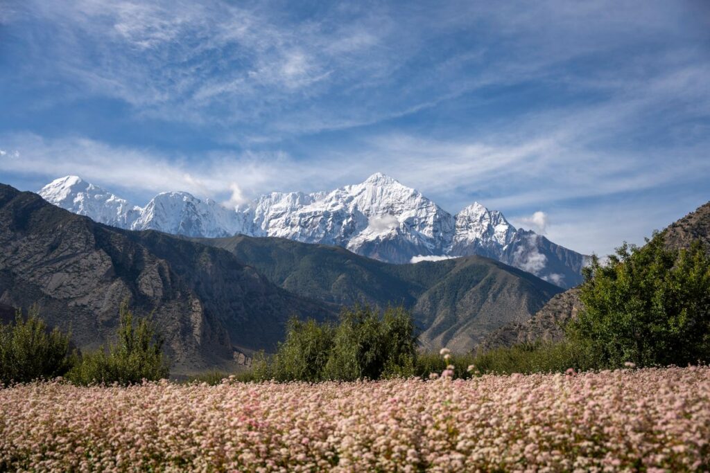 Recursos naturales de Asia