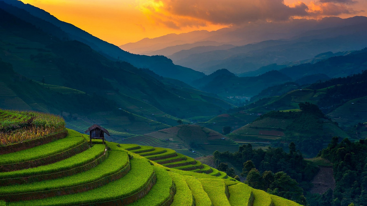 Recursos naturales de Asia 7 Terrazas de arroz al atardecer en Asia
