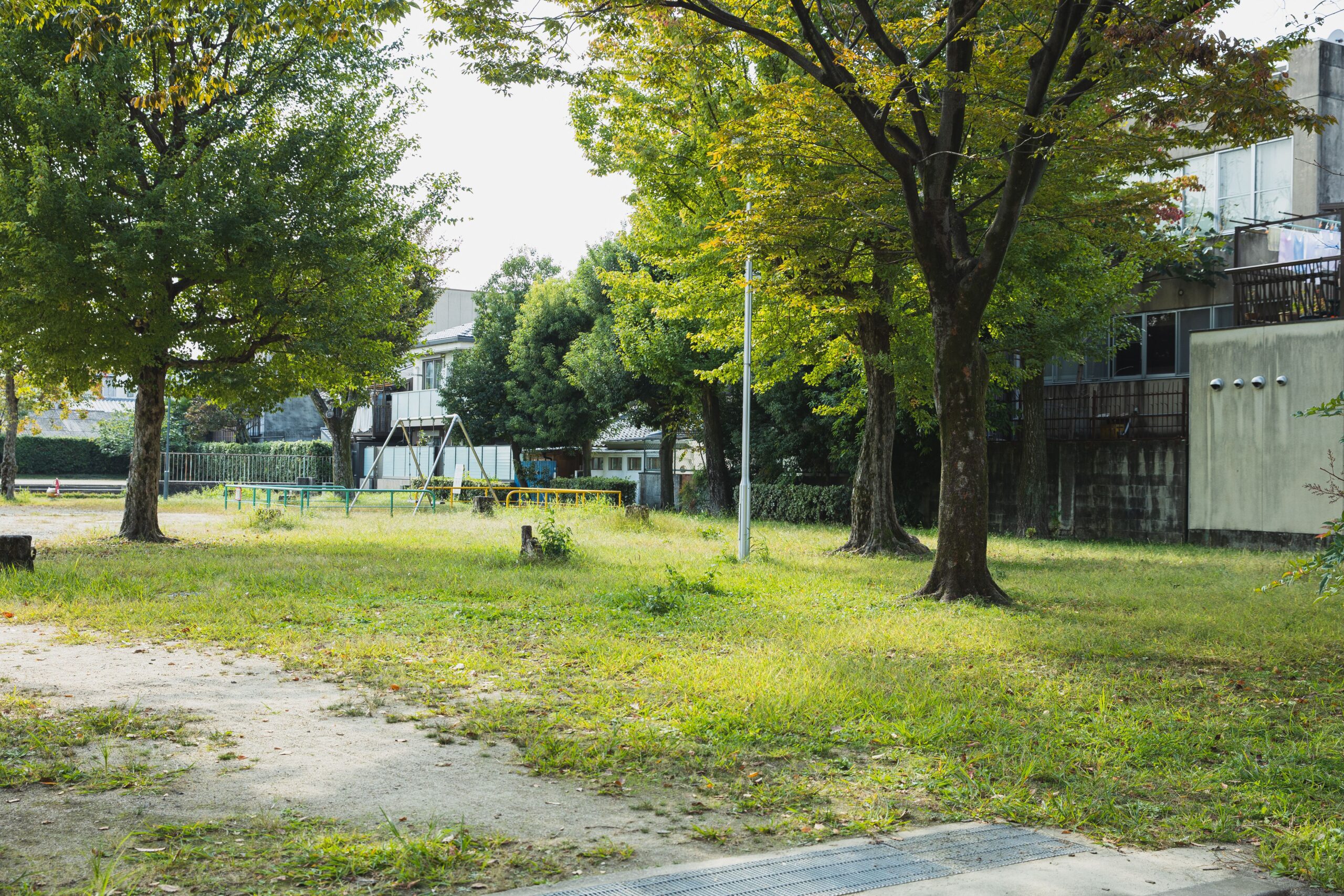 Diferencia entre desarrollo sostenible y sustentable 4 Parque verde entre edificios en una ciudad