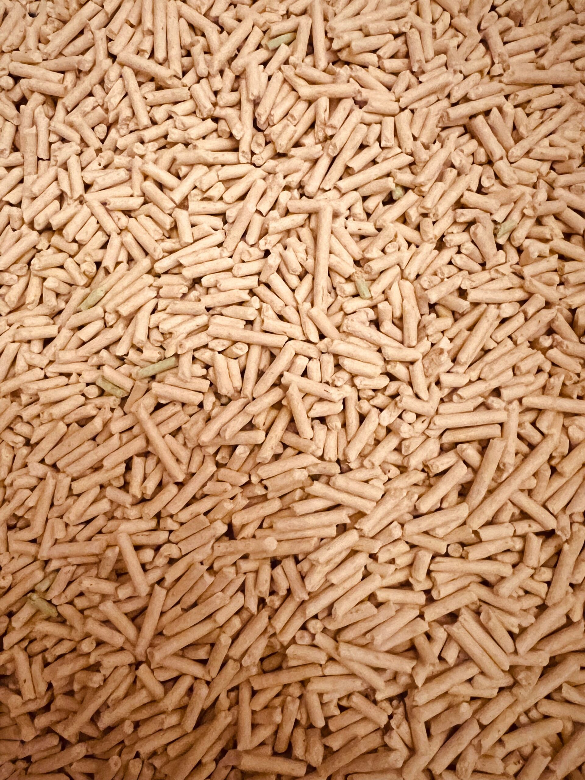 Energía de biomasa: qué es, cómo funciona y ventajas 3 Pellets de madera como combustible de biomasa
