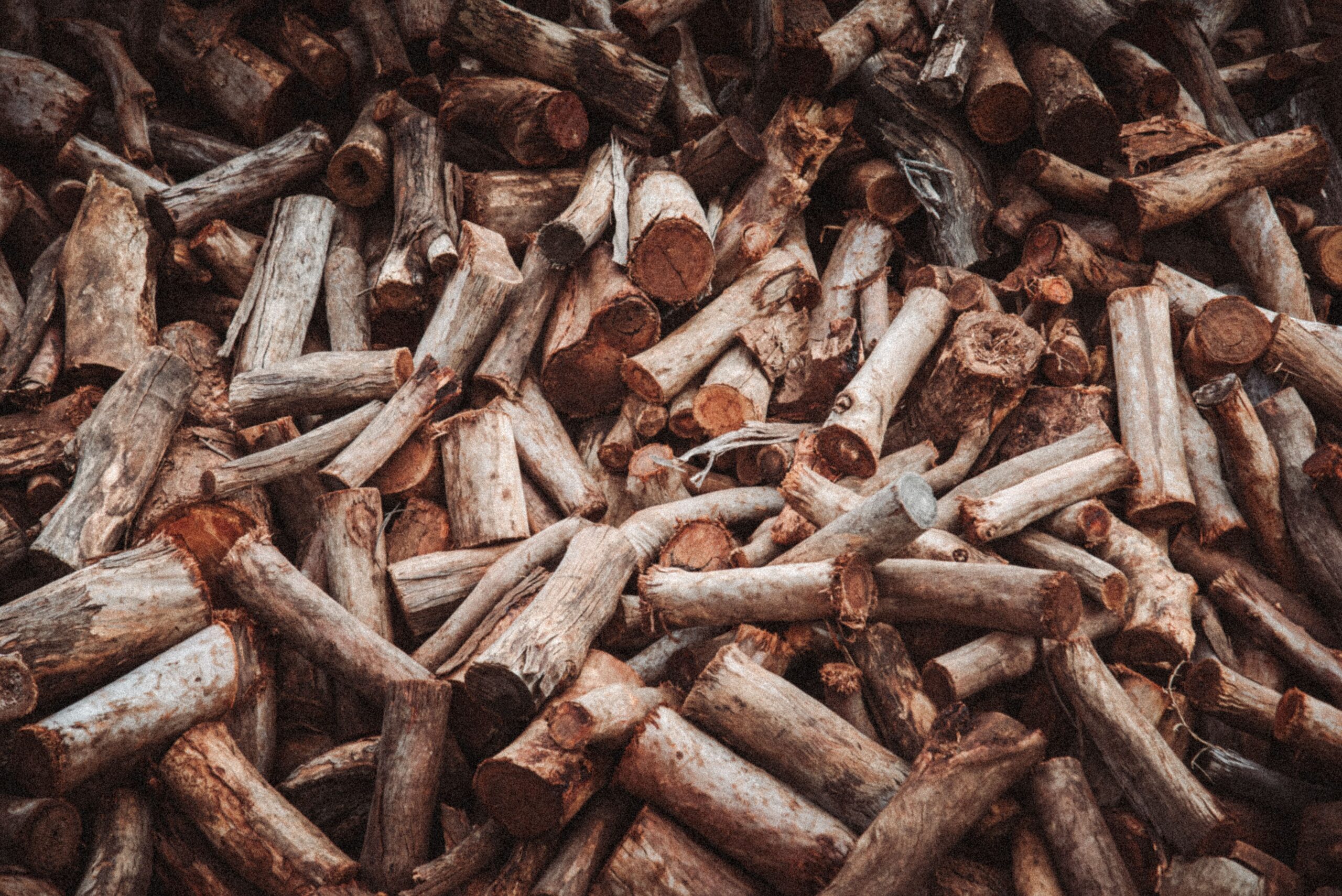 Energía de biomasa: qué es, cómo funciona y ventajas 5 Troncos de madera para biomasa forestal