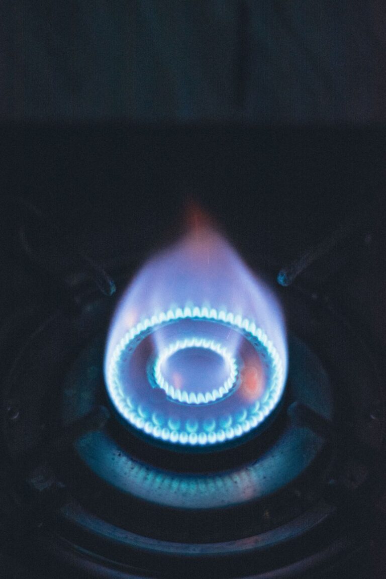 Natural Gas: What It Is, How It Forms and Its Uses 96 Llama azul de metano en un quemador de gas natural