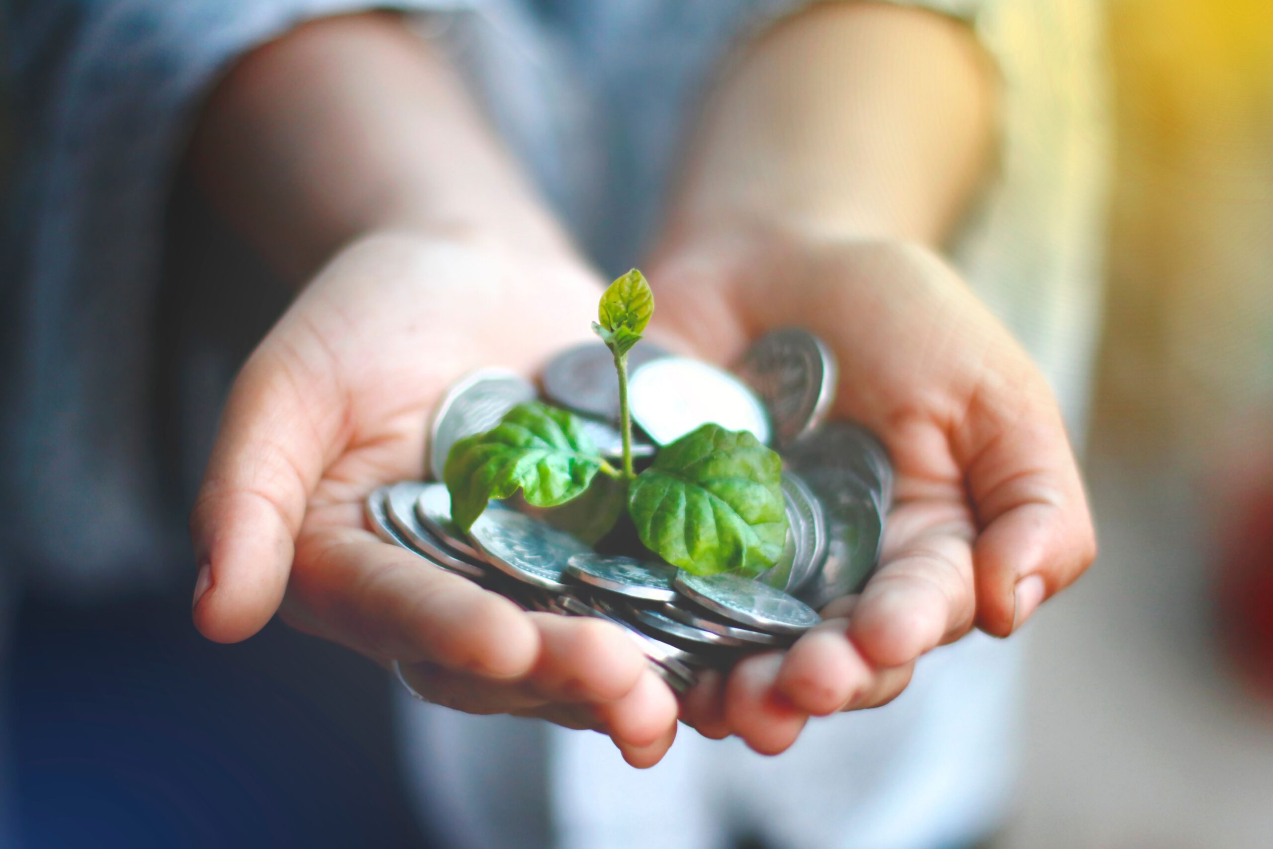 Los 3 pilares del desarrollo sustentable 5 Manos con monedas y una planta verde simbolizando crecimiento económico
