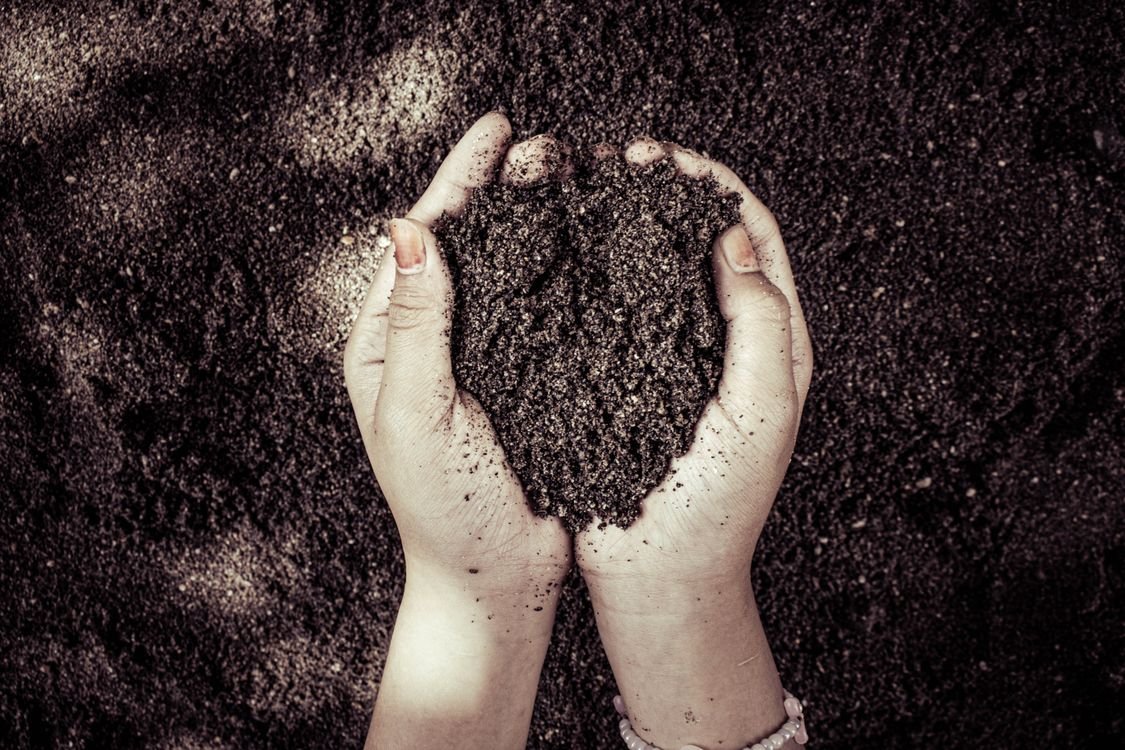 Recursos del suelo y agrícolas: qué son y ejemplos 3 Manos sosteniendo tierra fértil de cultivo