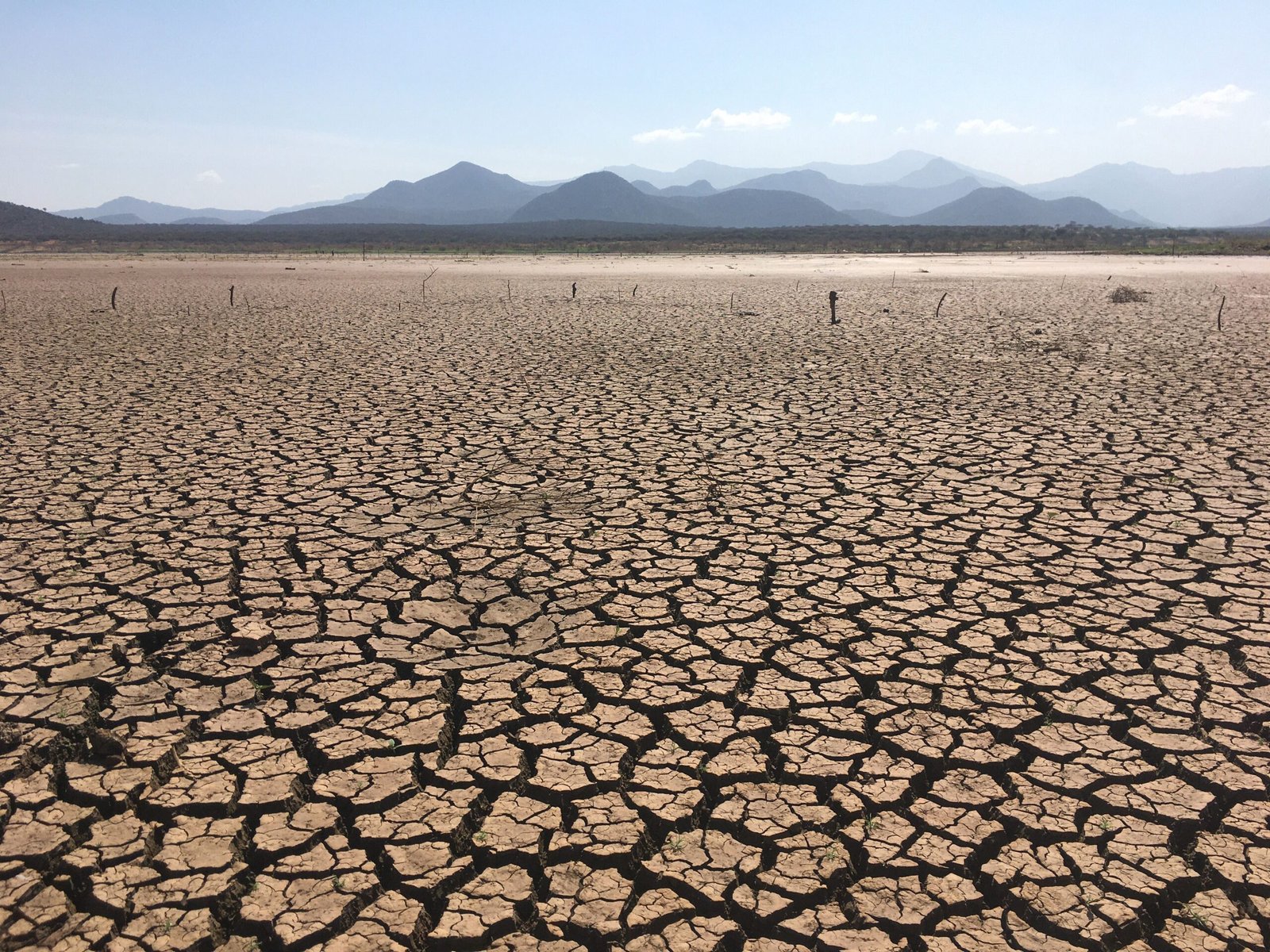 Recursos del suelo y agrícolas: qué son y ejemplos 5 Tierra árida y agrietada por la desertificación