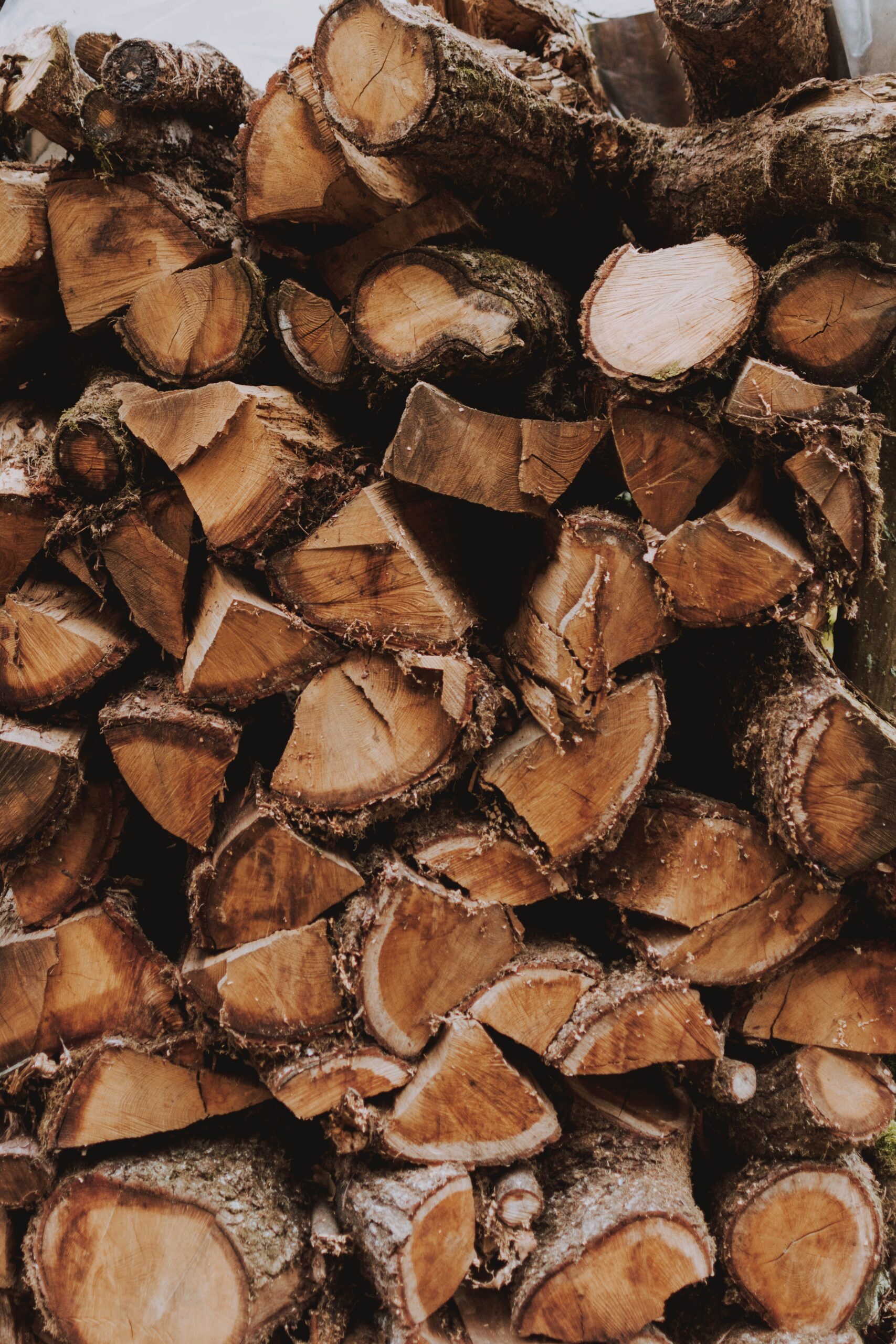 Recursos forestales: qué son, tipos y ejemplos 5 Pila de troncos de madera para producción forestal