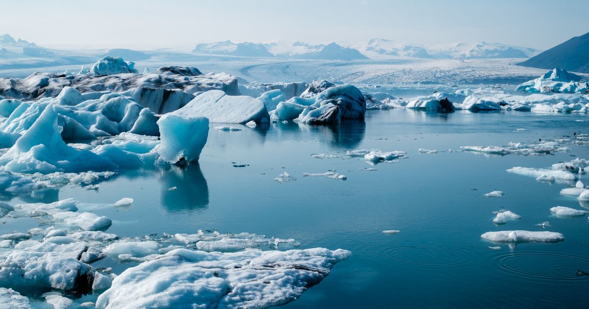 Recursos hídricos: qué son, importancia y ejemplos 3 Icebergs flotando en una laguna glaciar en Islandia