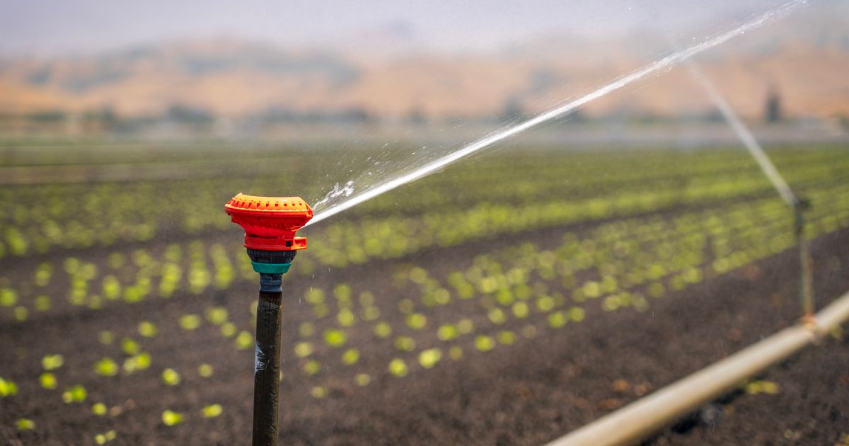 Recursos hídricos: qué son, importancia y ejemplos 5 Aspersor regando un campo de cultivo verde