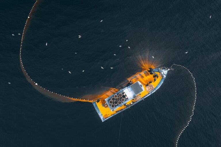 Recursos marinos y pesqueros: qué son y ejemplos 6 Barco pesquero de arrastre faenando en el mar