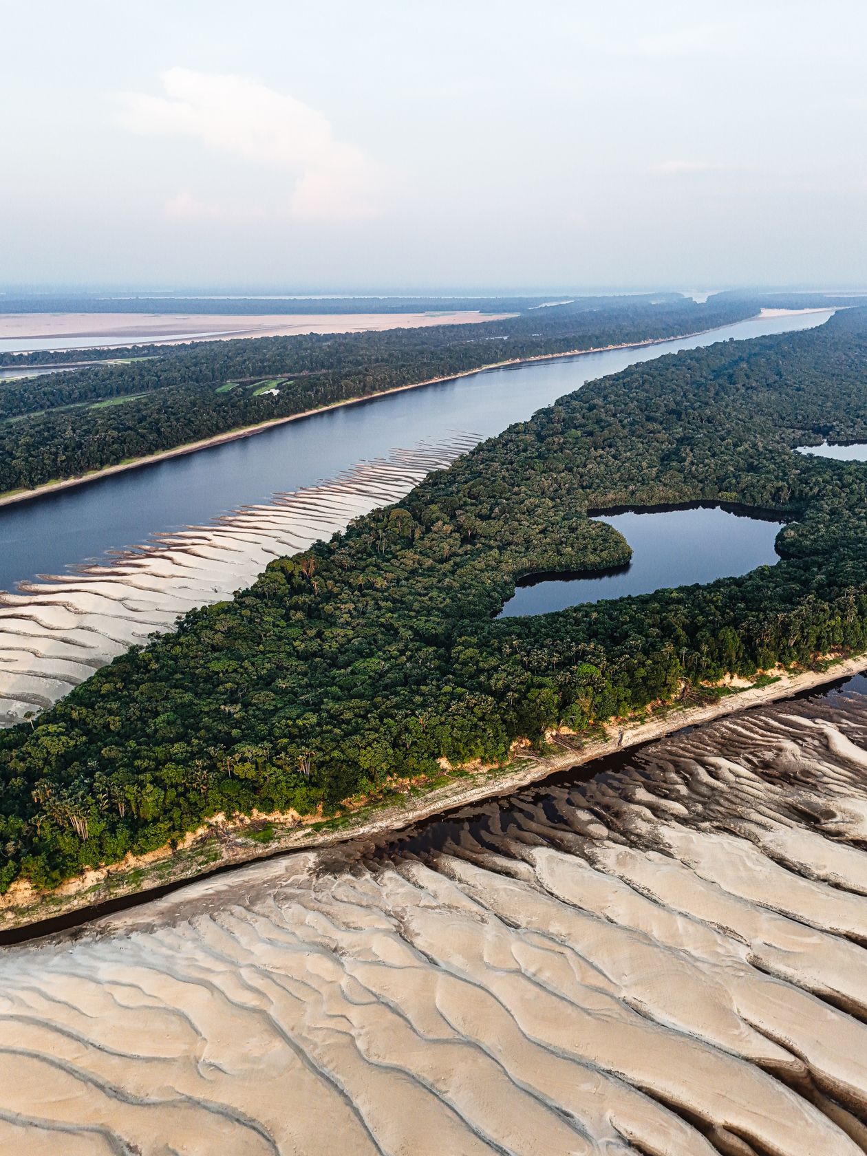 Recursos naturales de América Latina 4 Vista aérea del río Amazonas serpenteando la selva