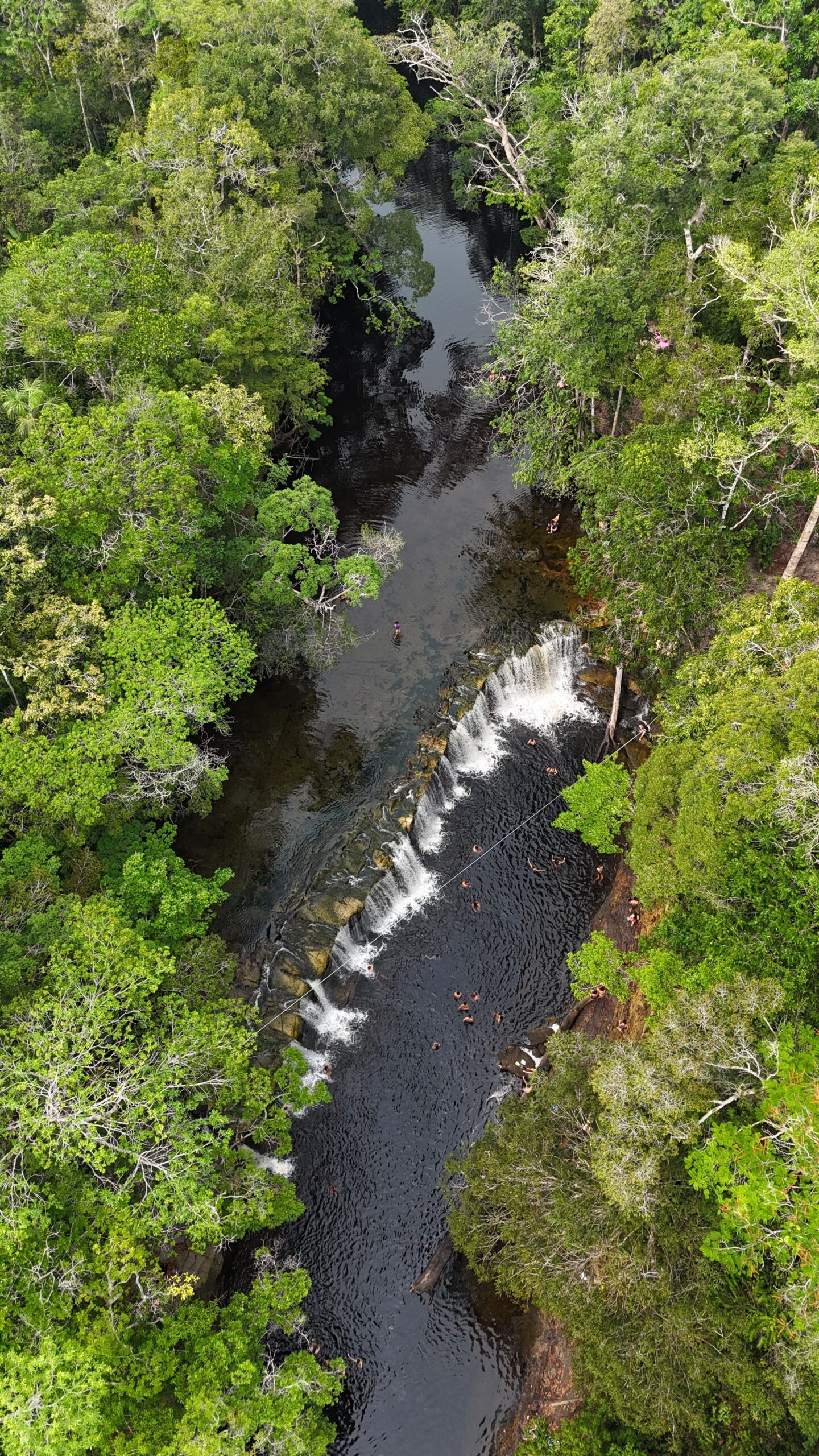 Recursos naturales de la Amazonía