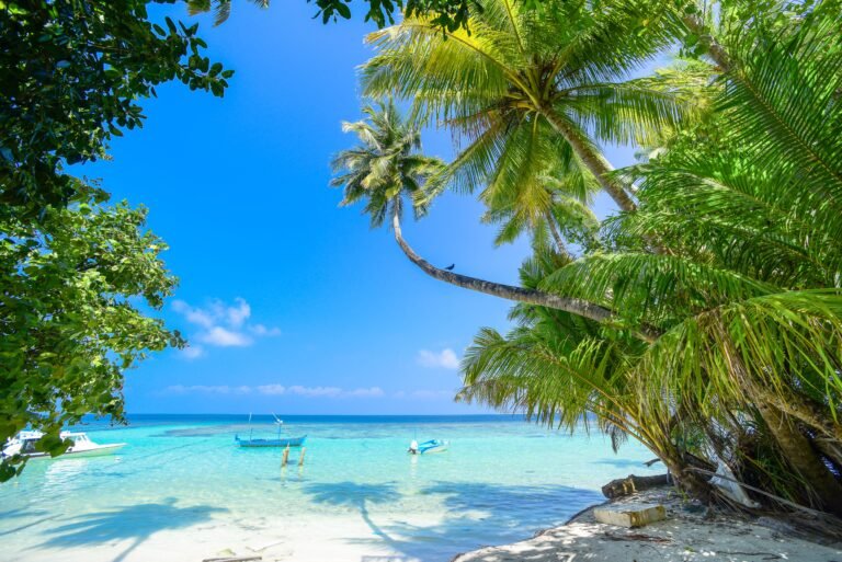 Recursos naturales del Caribe 137 Playa tropical de aguas turquesa y palmeras