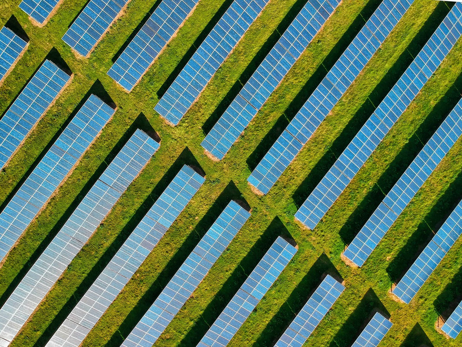 Recursos naturales inagotables: qué son y ejemplos 3 Paneles solares azules sobre un campo verde visto desde el aire