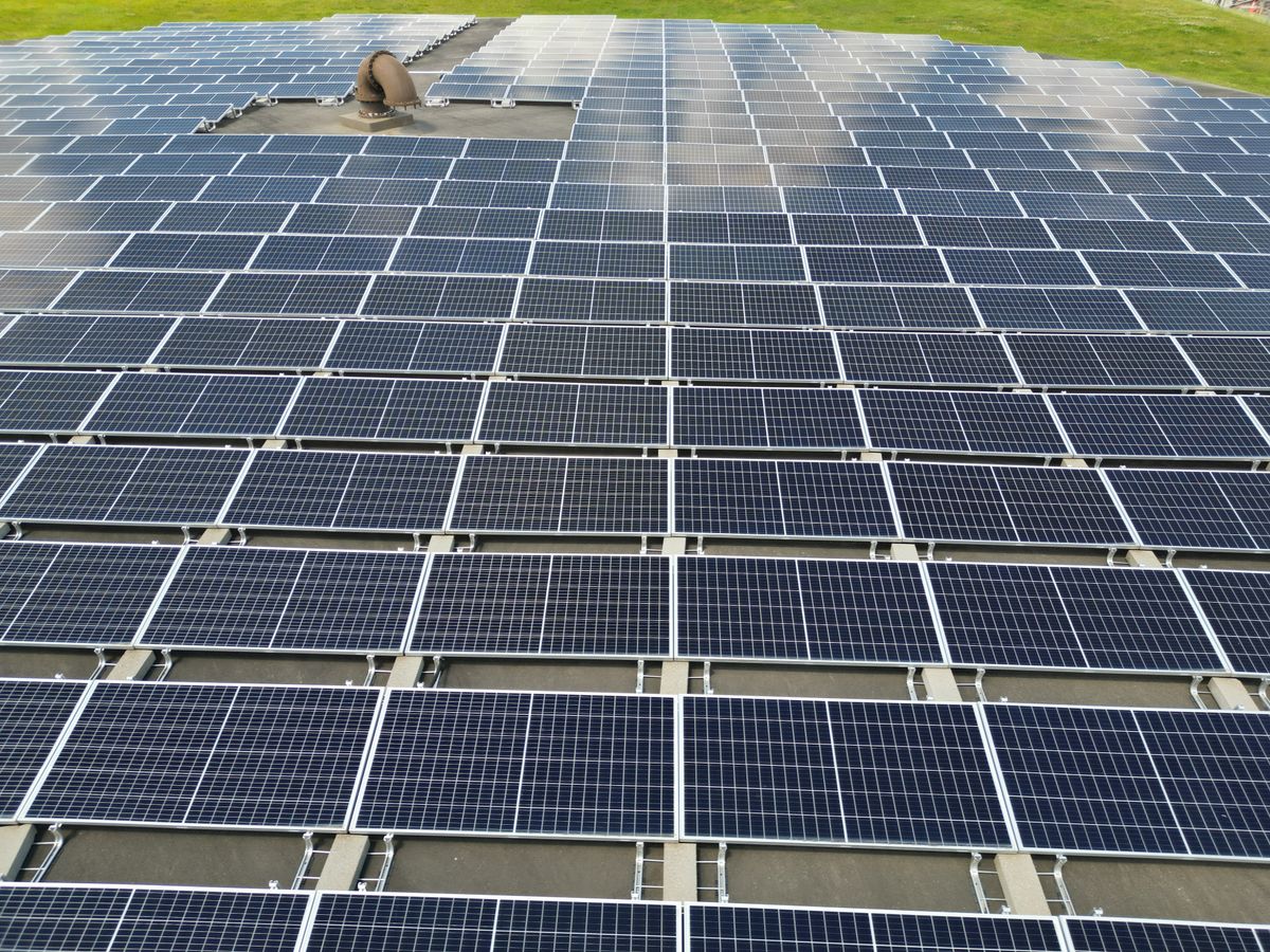 Tipos de energías renovables: cuáles son y ejemplos 3 Gran instalación de paneles solares en campo verde
