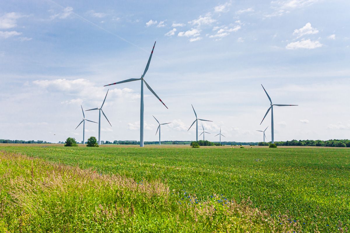 Tipos de energías renovables: cuáles son y ejemplos 4 Turbinas eólicas en campo verde generando electricidad